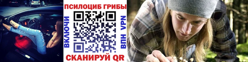 Купить  Волчанск  Псилоцибиновые грибы GOLDEN TEACHER 
